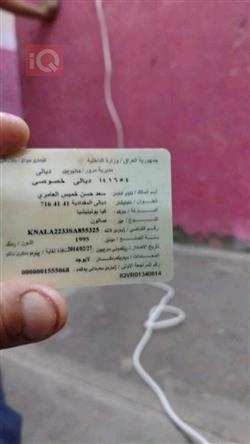 کیا پۆتێنشیا